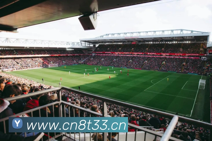 多媒体互动体验