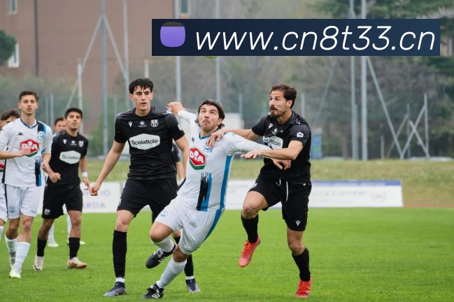 星空网页版官网入口APP 体育赛事宣传图